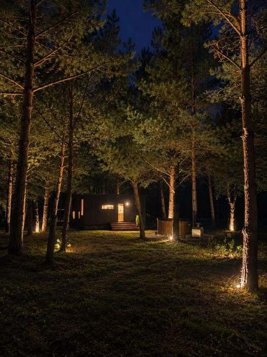 Domek letniskowy, całoroczny z balią, jacuzzi Tiny House „Sosnowa Baza” Jezioro, lasy – zdjęcie 4