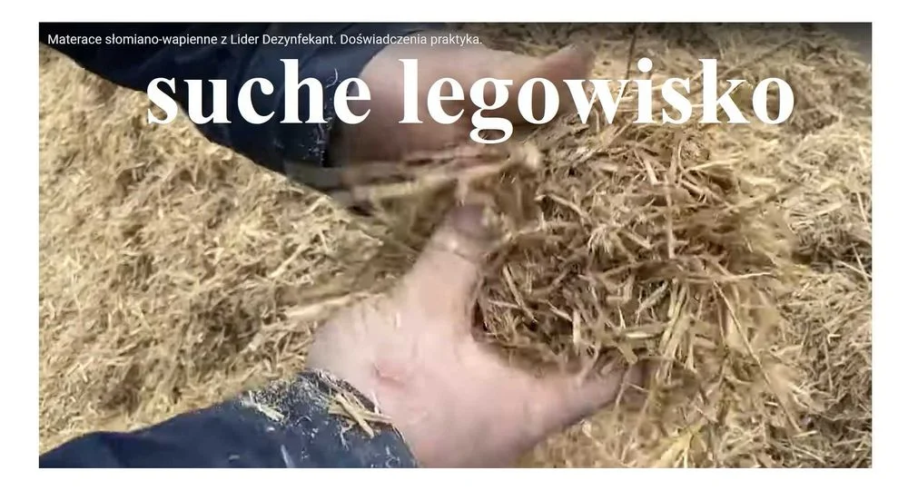 Preparat do produkcji materacy słomianych, Lider dezynfekant 500kg – zdjęcie 7