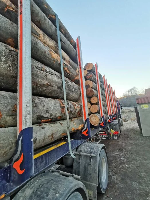 Drewno Opałowe Kominkowe Buk Grab Sezonowany Transport – zdjęcie 7