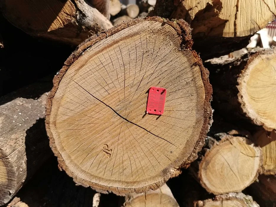Drewno Opałowe Kominkowe Buk Grab Sezonowany Transport – zdjęcie 4