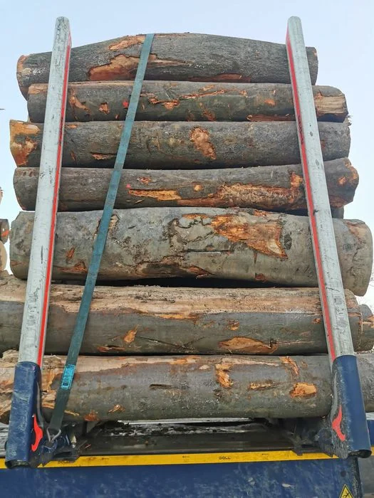 Drewno Opałowe Kominkowe Buk Grab Sezonowany Transport – zdjęcie 6