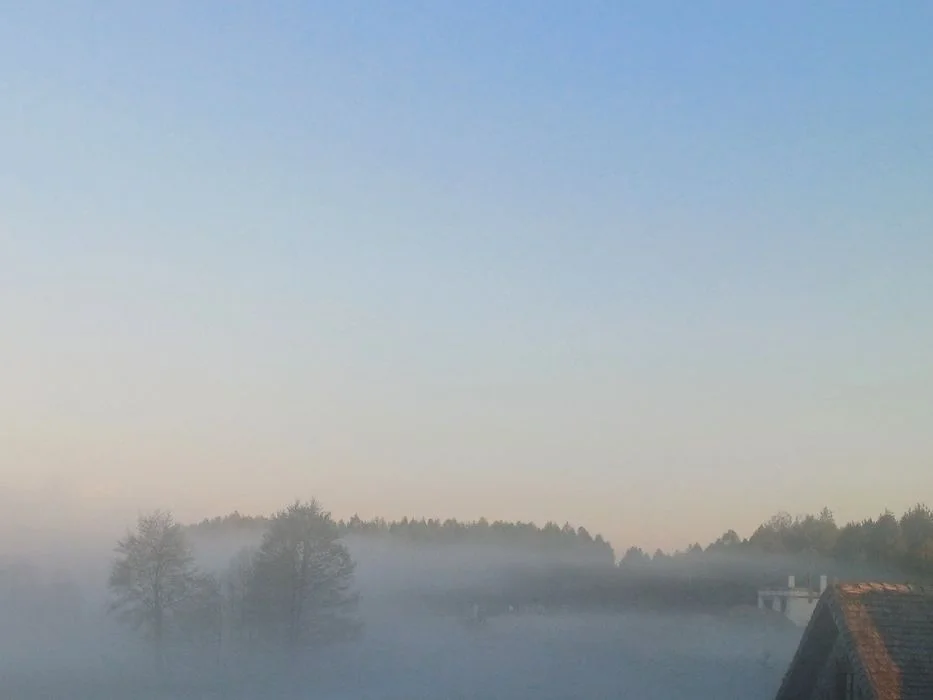 Noclegi dom z bala Podlasie Supraśl Uroczysko Borki WOLNY – zdjęcie 12