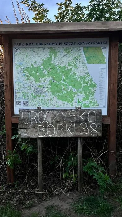 Noclegi dom z bala Podlasie Supraśl Uroczysko Borki WOLNY – zdjęcie 8