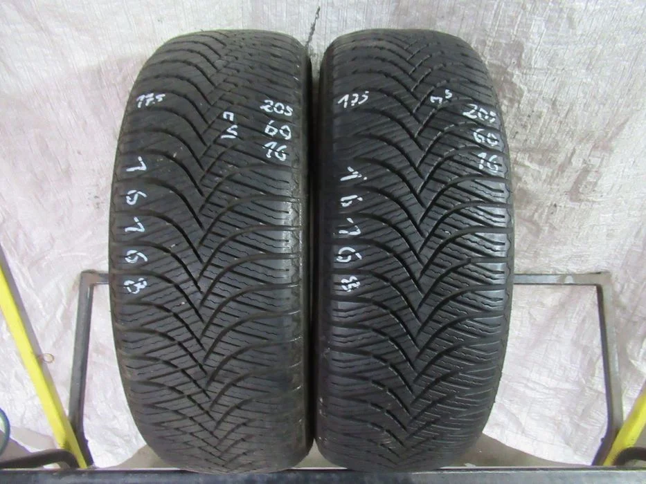 2x Goodride AllSeason Elite Z-401 205/60/16 96V nr.16168