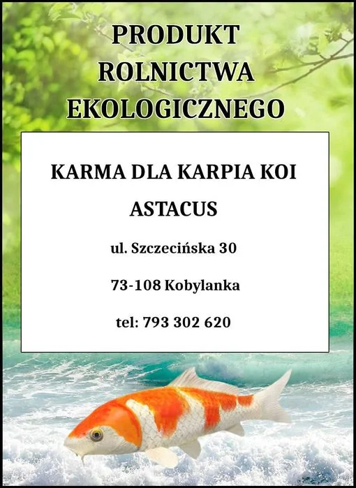 karma dla ryb karp pstrąg jesiotr koi – zdjęcie 6