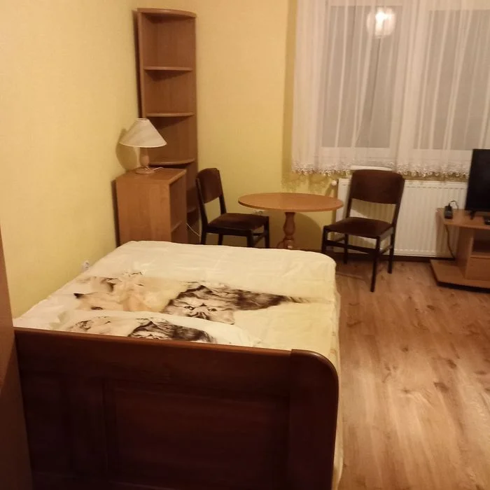 Noclegi Kudowa Zdrój – zdjęcie 2