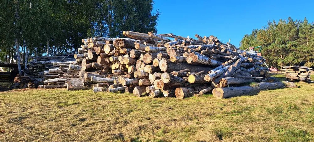 Sprzedam drewno na biomasę , zrębki – zdjęcie 2