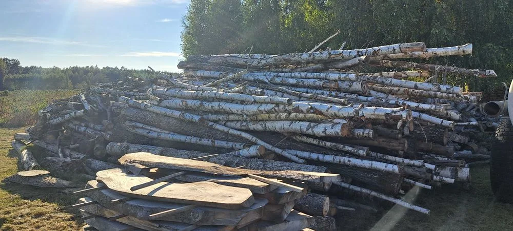 Sprzedam drewno na biomasę , zrębki – zdjęcie 5