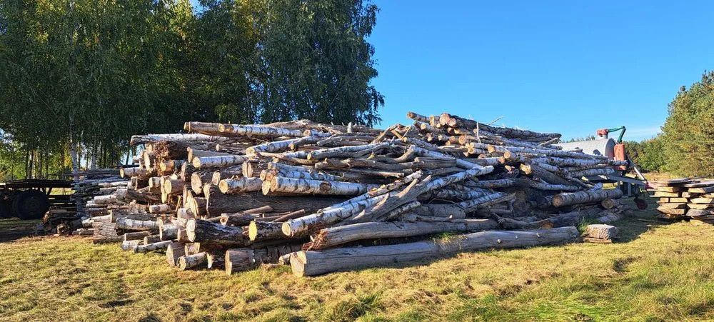 Sprzedam drewno na biomasę , zrębki