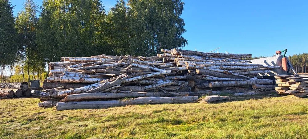 Sprzedam drewno na biomasę , zrębki – zdjęcie 3
