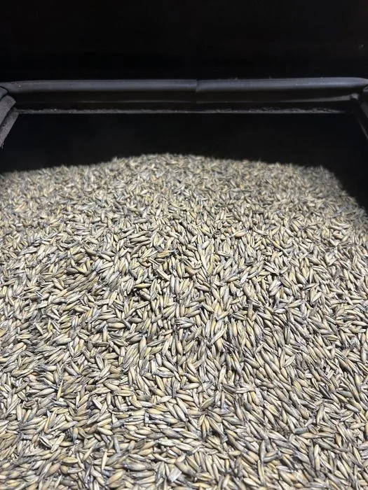 Owies opalowy, pellet