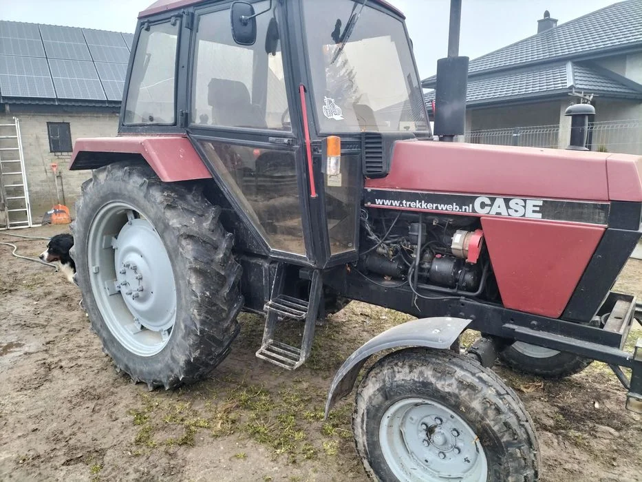 Casse 1290 Dawid Brown – zdjęcie 2