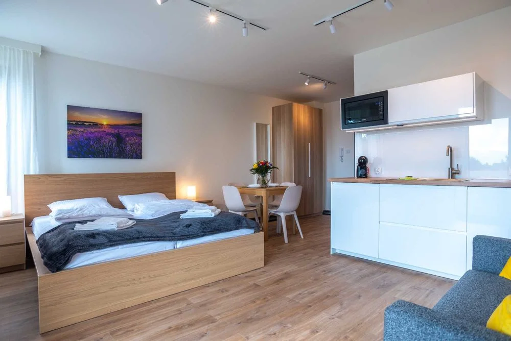Apartamenty Aparts4U - noclegi z widokiem na góry Szklarska Poręba – zdjęcie 7