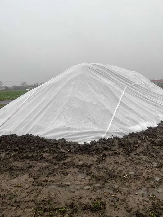 Agrowłóknina P30 PROMOCJA 10.50x100 biała PROMOCJA ! – zdjęcie 7
