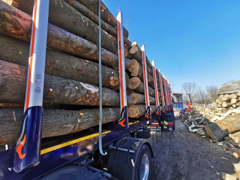 Drewno Opałowe Kominkowe Buk Grab Sezonowany Transport – zdjęcie 2