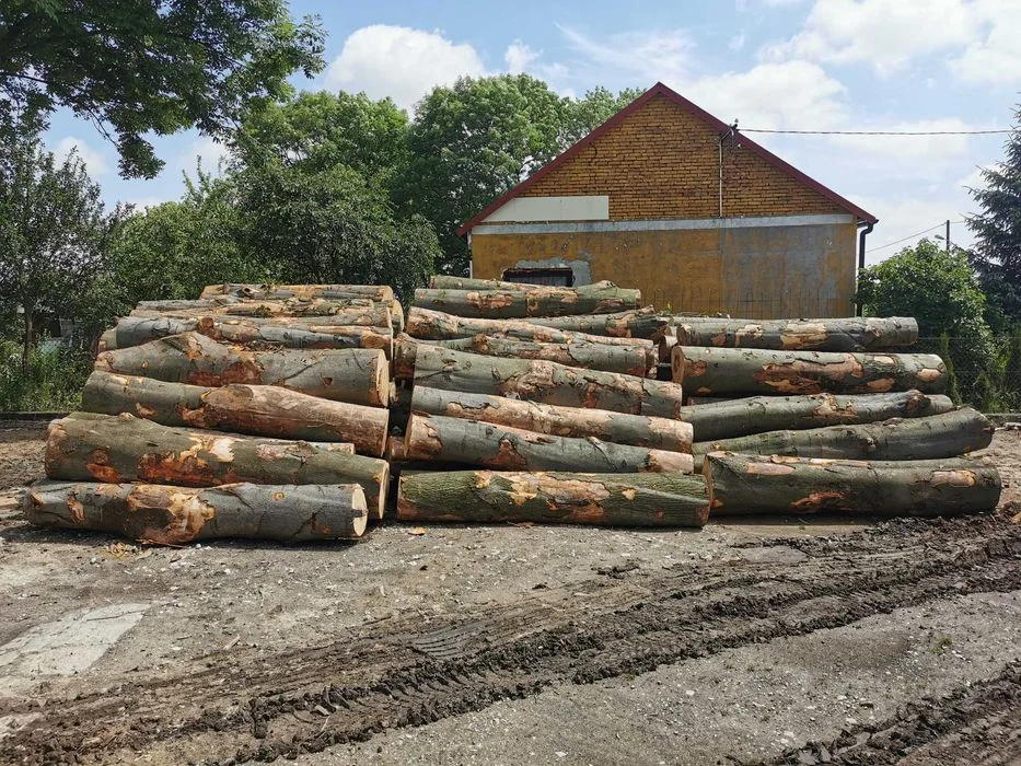 Drewno Opałowe Kominkowe Buk Grab Sezonowany Transport – zdjęcie 6
