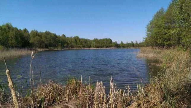 CZTERY STAWY- agroturystyka WAKACJE DOMEK ,NOCLEGI wędkowanie – zdjęcie 12