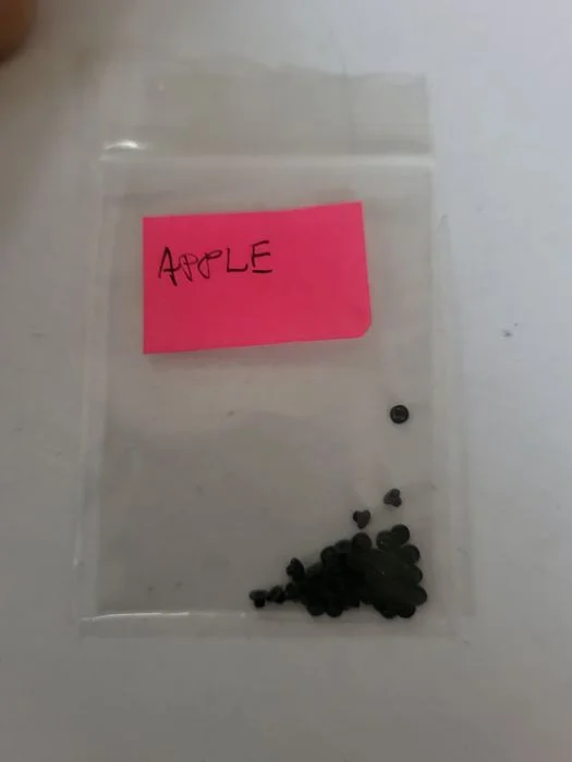 Sprzedam zestaw śrubek mini do Apple