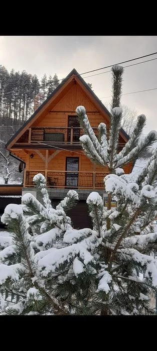 Całoroczny domek do wynajęcia z jacuzzi