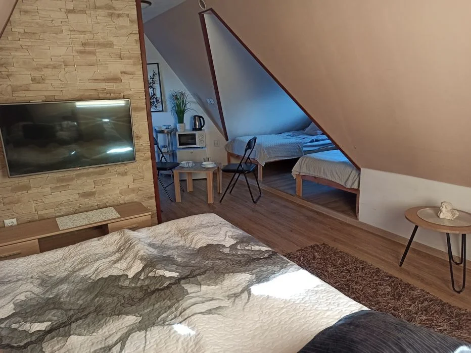 POKÓJ STUDIO, 300 metrów od Krupówek, WIDOK NA GÓRY – zdjęcie 5