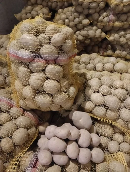 Ziemniaki Kartofle Pyry Katering Restauracja Stołówka