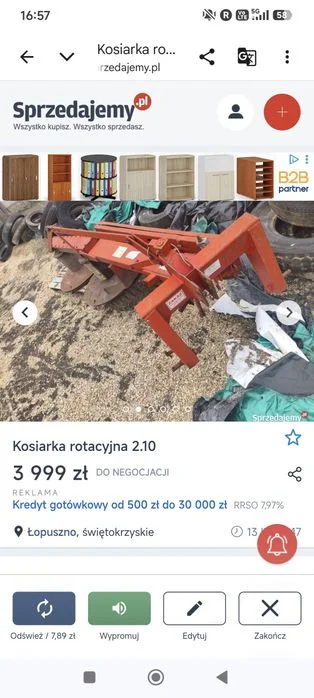 Pająk przewracała – zdjęcie 6