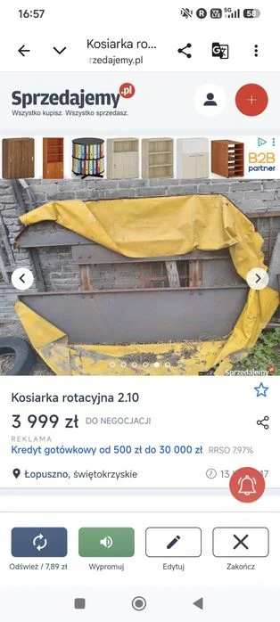Pająk przewracała – zdjęcie 5