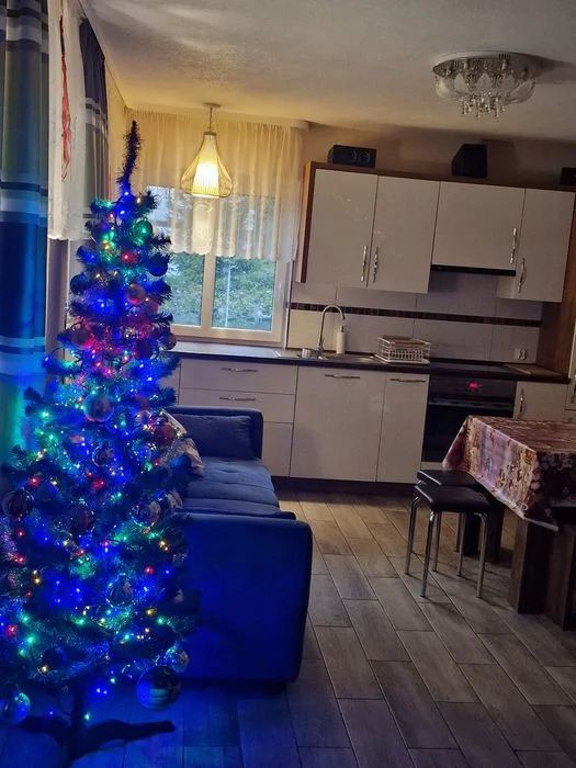 Sylwester, Boże Narodzenie, Domek 7 osobowy, Kaszuby, nad jeziorem – zdjęcie 2