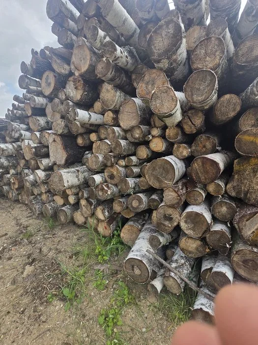 Sprzedam drewno opałowe połupane kominkowe popiłowane pocięte dowóz darmowy gratis Augustów – zdjęcie 8