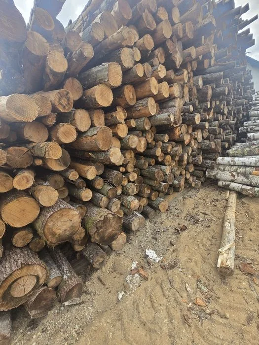 Sprzedam drewno opałowe połupane kominkowe popiłowane pocięte dowóz darmowy gratis Augustów – zdjęcie 7