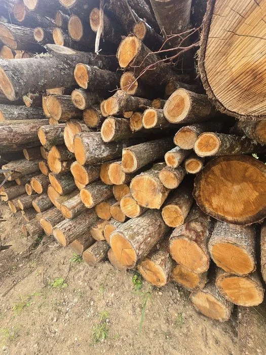 Sprzedam drewno opałowe połupane kominkowe popiłowane pocięte dowóz darmowy gratis Augustów – zdjęcie 5
