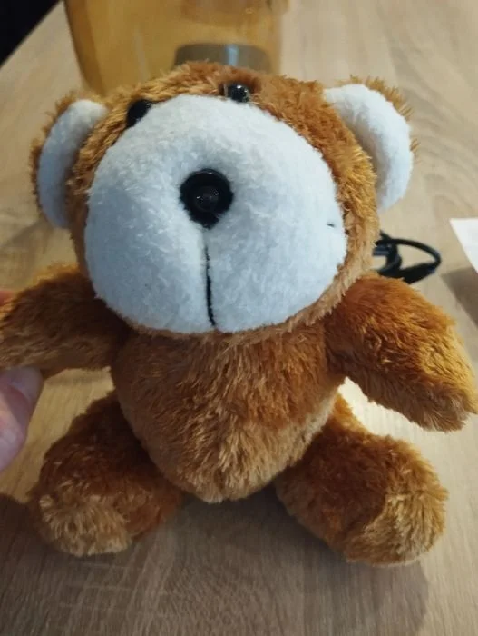 Kamera internetowa do komputera na USB maskotka, miś