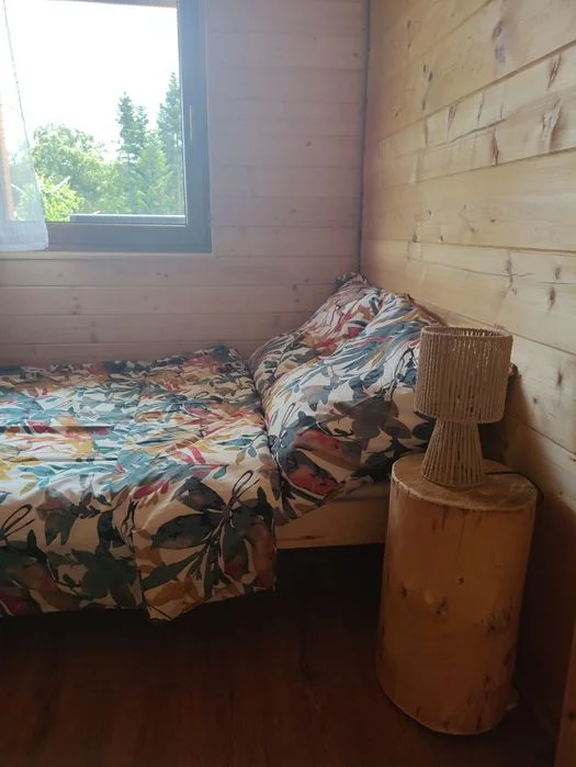 Domki drewniane na wynajem, Stara Wieś koło Limanowej, Beskid Wyspowy, góry, las – zdjęcie 8
