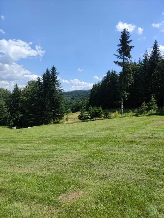 Domki drewniane na wynajem, Stara Wieś koło Limanowej, Beskid Wyspowy, góry, las – zdjęcie 5