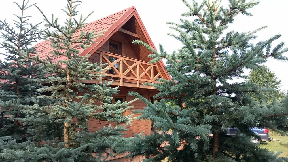 Mazury , domki całoroczne - Wzgórza Dybowskie balia z jacuzzi , sauna – zdjęcie 2