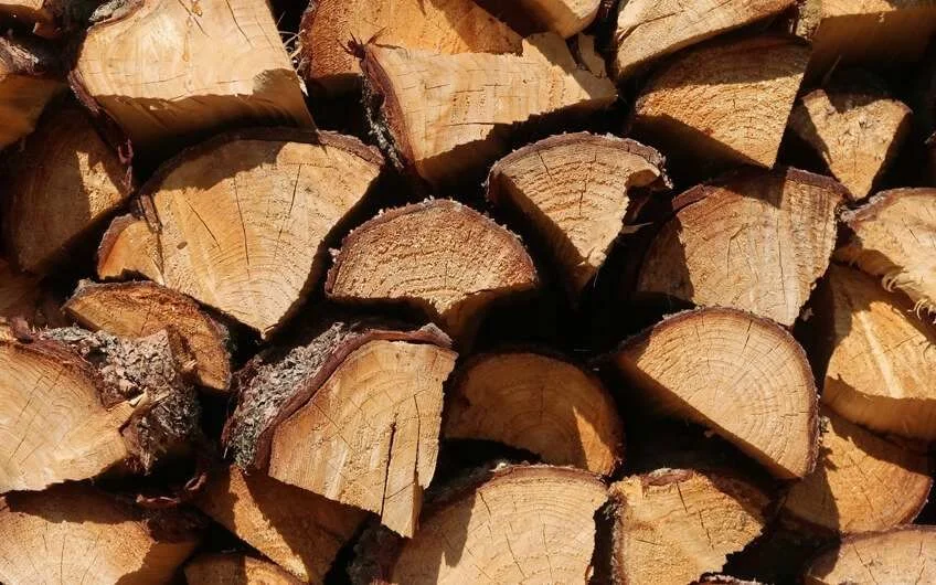 Drewno kominkowe i opałowe