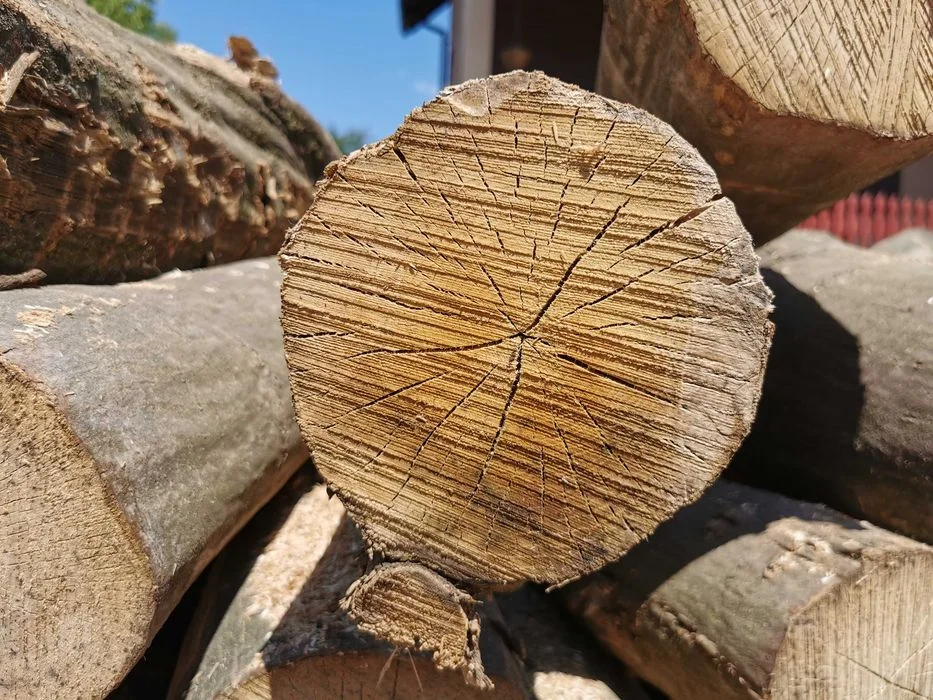 Drewno Opałowe Kominkowe Buk Grab Sezonowany Transport – zdjęcie 7