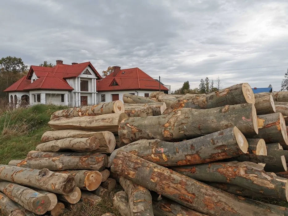 Drewno Opałowe Kominkowe Buk Grab Sezonowany Transport – zdjęcie 4