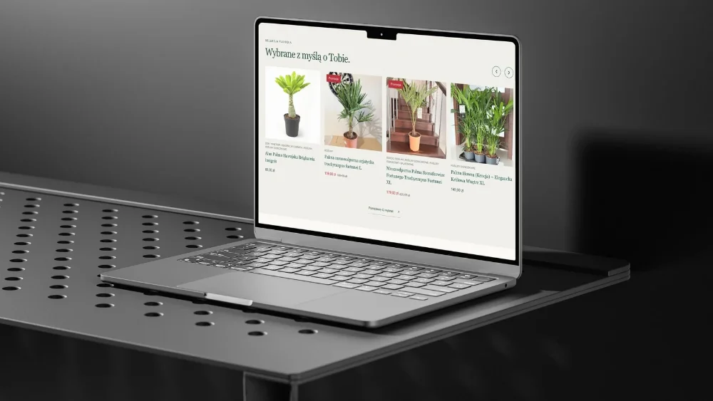 Strony internetowe, sklepy online i automatyzacje AI – zdjęcie 3