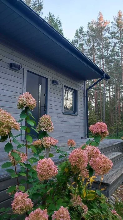 Domek całoroczny "Sosnowe Zacisze" w Zelwie