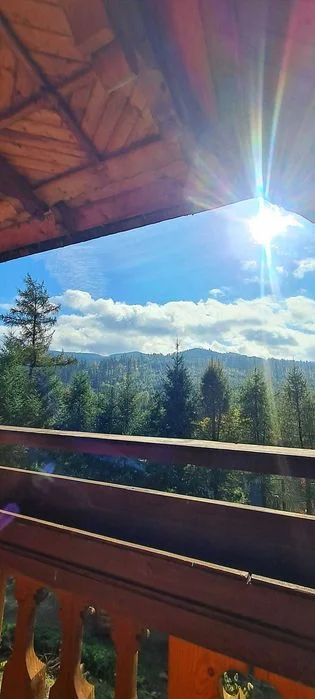 Bimbrówka Wisła, sauna, jacuzzi, DO 23 OSÓB ,10 sypialni,altana – zdjęcie 10