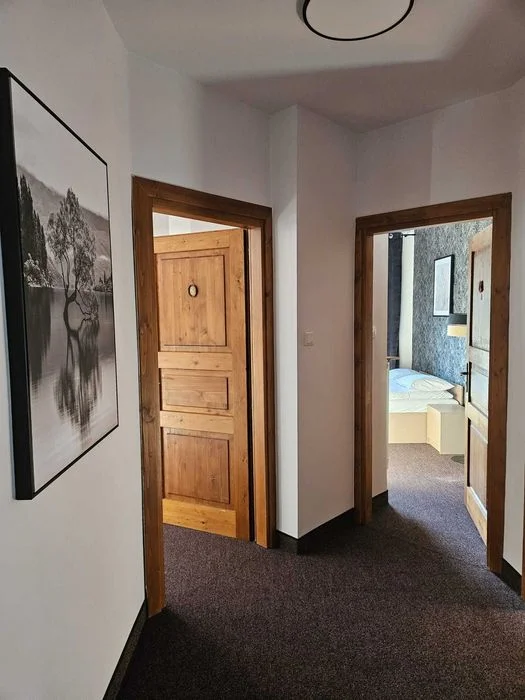 Willa "Bimbrówka" Wisła,dom 25 osób, jacuzzi, bilard – zdjęcie 8