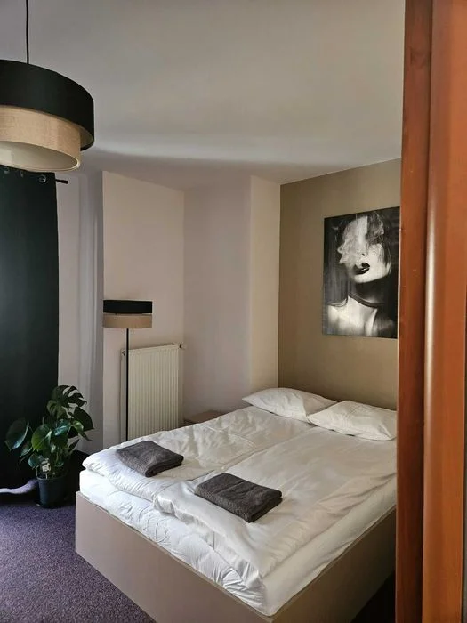 Willa "Bimbrówka" Wisła,dom 25 osób, jacuzzi, bilard – zdjęcie 10
