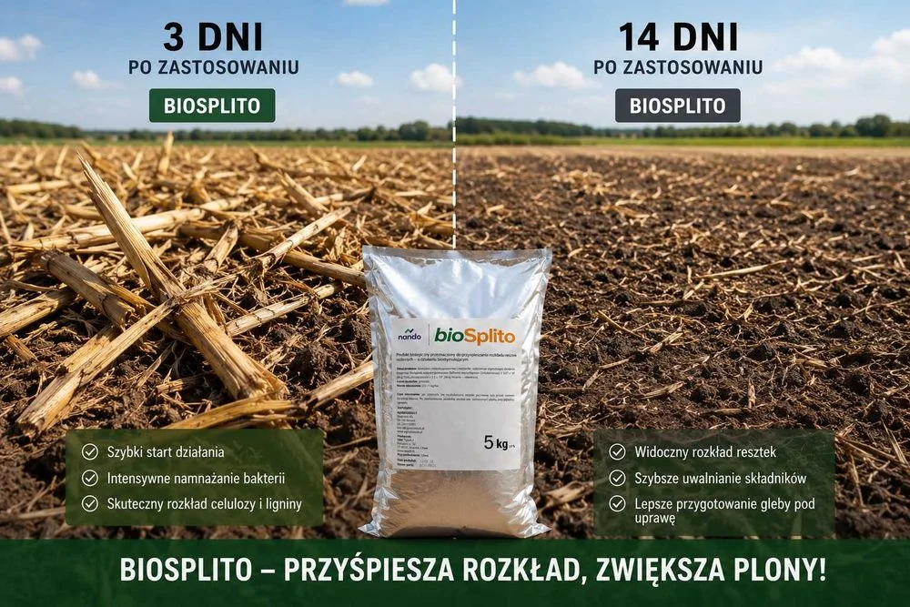Bakterie do słomy na 10 ha, Biosplito przyśpiesza rozkładanie resztek pożniwnych, bakterie na ściernisko, bakterie do rozkładu słomy