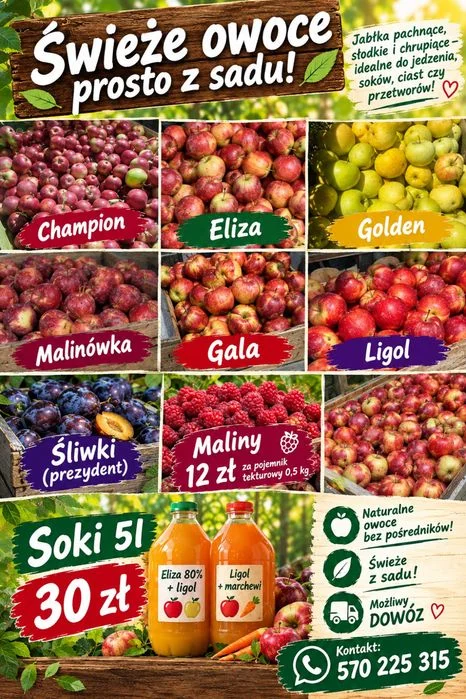 Świeże owoce -Jablka -Śliwki -Maliny