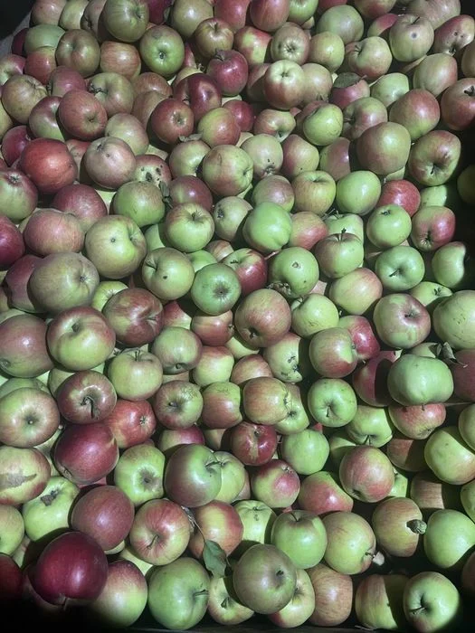 Świeże owoce -Jablka -Śliwki -Maliny – zdjęcie 5
