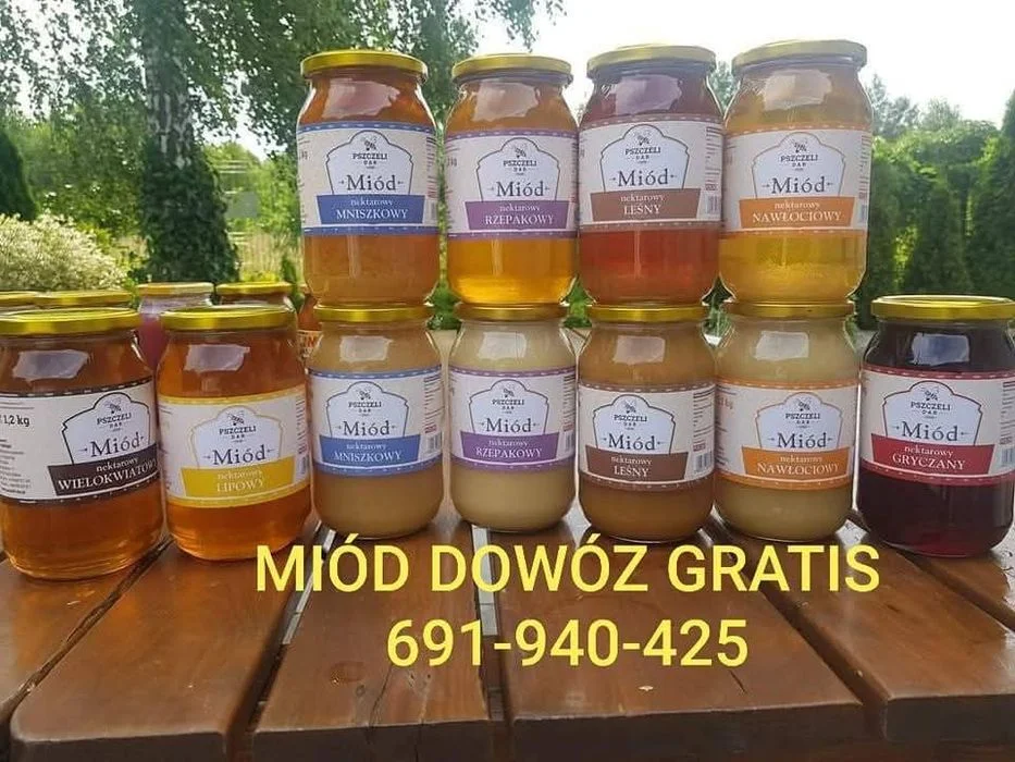 Miód ( Rodzinna pasieka) Pomorskie – zdjęcie 3