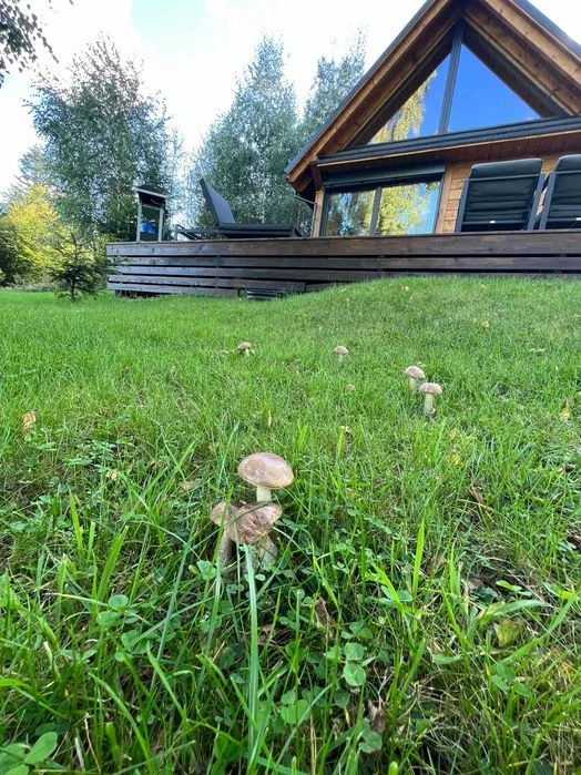 Domek z balią w Sopotni Małej – luksusowy wypoczynek w Beskidach – zdjęcie 9