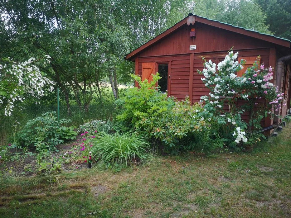 Domek nad jeziorem 4-6os 40m2 62-550 Zygmuntowo wolne, las, psy, KLIMATYZACJA, wolne weekend 9-11.10 – zdjęcie 6