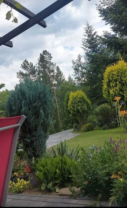 Pokoje gościnne z widokiem na góry-Główna 206 – zdjęcie 5